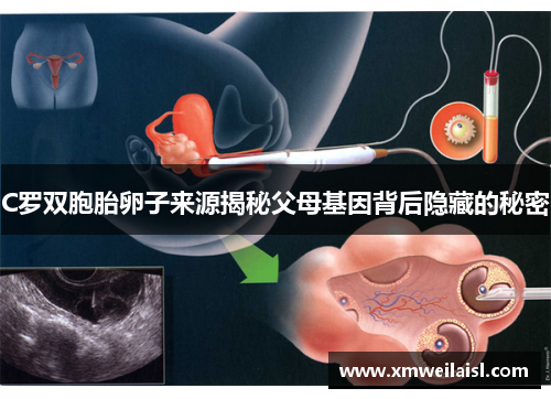 C罗双胞胎卵子来源揭秘父母基因背后隐藏的秘密