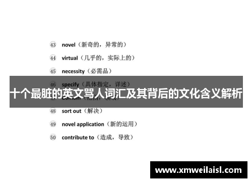 十个最脏的英文骂人词汇及其背后的文化含义解析