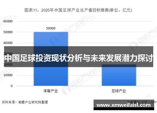 中国足球投资现状分析与未来发展潜力探讨